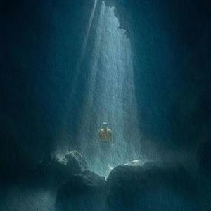 管理高端小鲤导航
