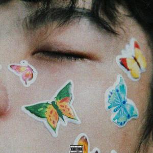 管理高端小鲤导航
