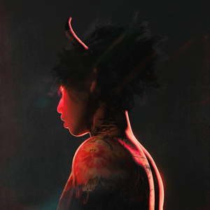 管理高端小鲤导航
