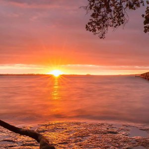 管理高端小鲤导航
