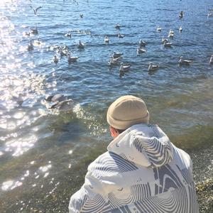 管理高端小鲤导航
