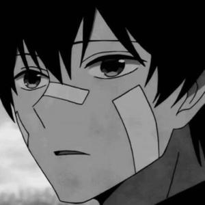 管理高端小鲤导航
