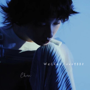 管理高端小鲤导航
