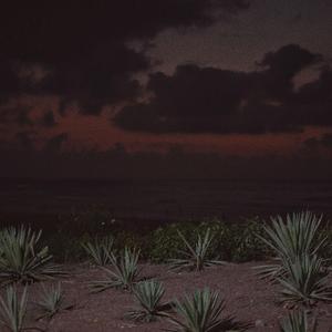 管理高端小鲤导航
