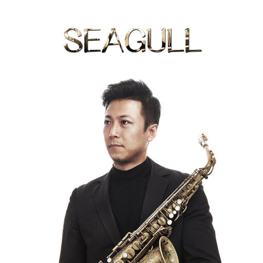 管理高端小鲤导航
